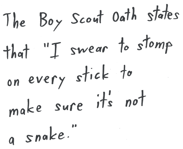 The Boy Scout Oath states that "I swear to stomp on every stick to make sure it's not a snake."
