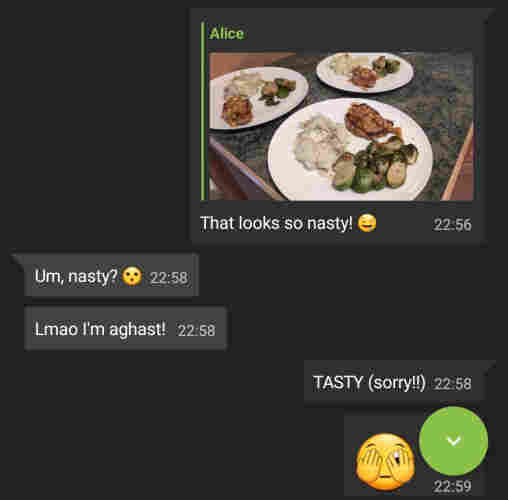 Messages between Alice and I...

[Yummy picture of food]
Me: That looks so nasty! 🤤
Alice: Um, nasty? 😮
Alice: Lmao I'm aghast!
Me: TASTY (sorry!!)
Me: 🫣