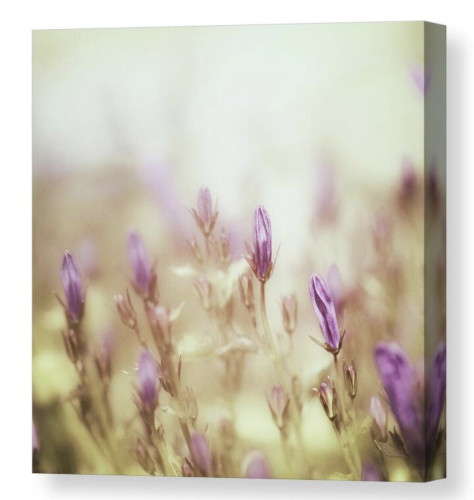 A close-up of delicate purple buds captures their gentle forms amidst a soft, dream-like atmosphere. The buds stand out with a vividness against the blurred yellow and light purple background, creating an ethereal and serene scene.