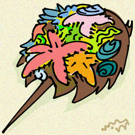 A doodle of a horseshoe crab with sea stars, barnacles, mussels, and sea plants stuck to its back.