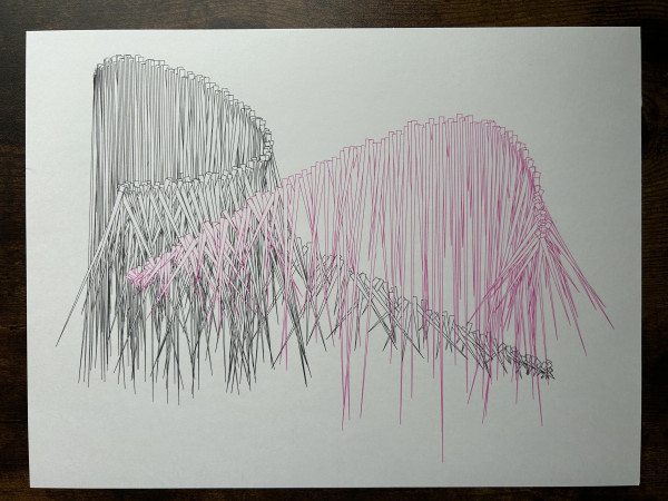 Pen plotter drawing in black and pink ink of many extremely long and narrow triangular forms following two sweeping lines.
