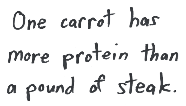 One carrot has more protein than a pound of steak.
