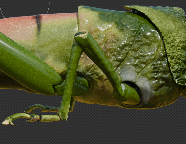 3D render of a textured grasshopper leg from the side.
