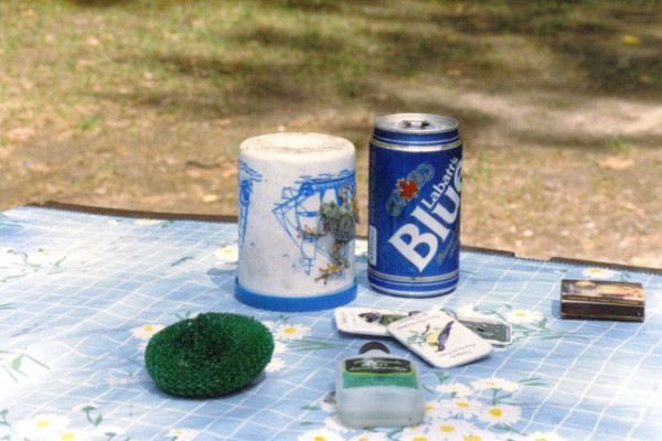 Photo of a picnic table covered in a blue checkered tablecloth with a foam beer cozy with a little toad clinging to the side of it, a scrub pad, some park buttons, a can of Labatt's Blue beer, deet bottle and a small box of wood matches on the table. The cozy is upside down and the toad is facing in an upward direction on the side of it.