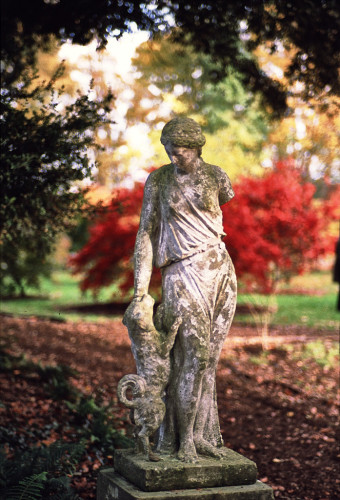 Portrait format colour film photo of a statue under some trees in a garden. The statue models a woman in a loose dress with a small curly tailed-dog. Behind her are two small trees covered in red leaves; dark leaves from the tree above frame her.