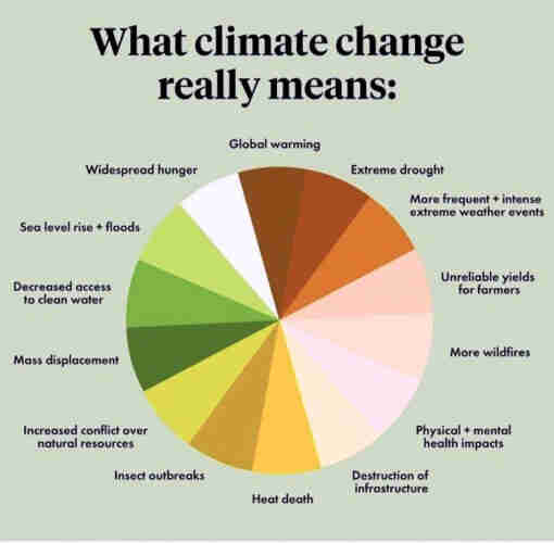 Pie chart showing "What climate change really means" -- with these categories:

Global warming, extreme drought, more frequent and intense extreme weather events, unreliable yields for farmers, more wildfires, physical and mental health impacts, destruction of infrastructure, heat death, insect outbreaks, increased conflict over natural resources, mass displacement, decreased access to clean water, sea level rise and floods, widespread hunger.
