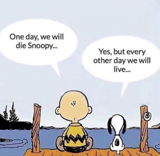 Charlie Brown and Snoopy sitting on a dock at a lake. Their backs are to us. Charlie Brown says "One day, we will die Snoopy...". Snoopy says "Yes, but every other day we will live..."