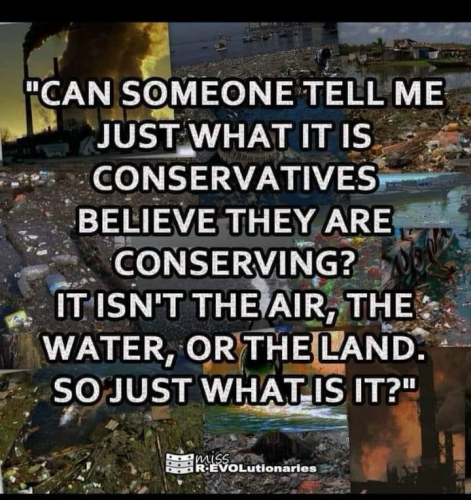 "CAN SOMEONE TELL ME JUST WHAT IT IS CONSERVATIVES BELIEVE THEY ARE CONSERVING? IT ISN'T THE AIR, THE WATER, OR THE LAND. SO JUST WHAT IS IT?"