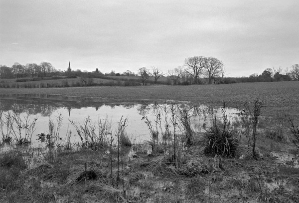 A flooded area in a field, with weeds and a further boggy area in front. There are trees on the far field boundary, and a distant church spire is on the horizon. The spire is reflected in the puddle. Monotonous grey sky. Black and white photo.