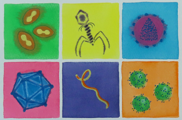 watercolor grid of virus images in bright pastel colors 