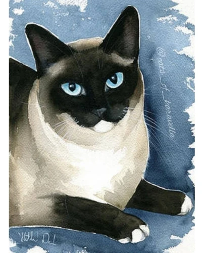 Siamese cat painting by Dora Hathazi Mendes handmade watercolor
