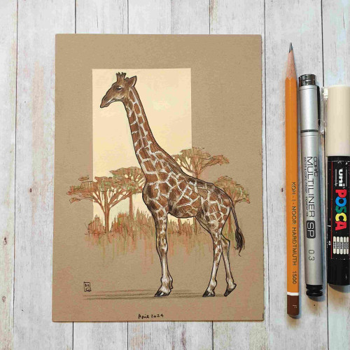 Original drawing - Giraffe
A colour drawing of a giraffe with a little landscape with trees in the background.
Materials: colour pencil, mixed media, acid free buff coloured paper
Width: 5 inches
Height: 7 inches