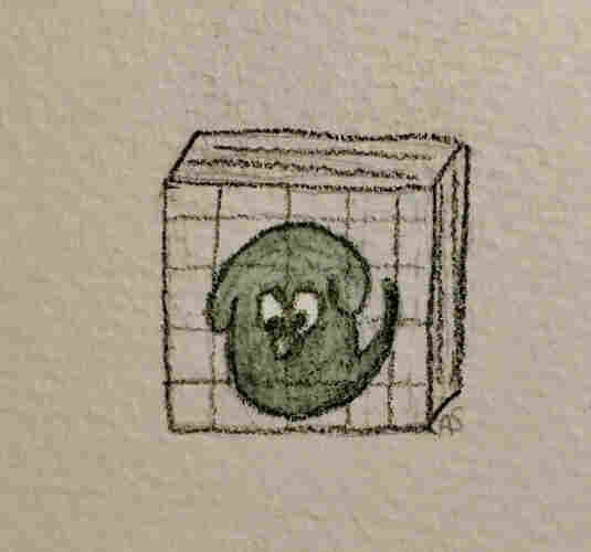 Ein kleiner schwarzer Hund sitzt in einem Käfig und sieht traurig aus.

AutoALT: Hand-drawn sketch of a sphere with a face inside a three-dimensional square grid.