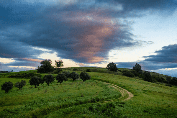 Dirt road winding up a soft hill with a cloudy dawn sky in the background