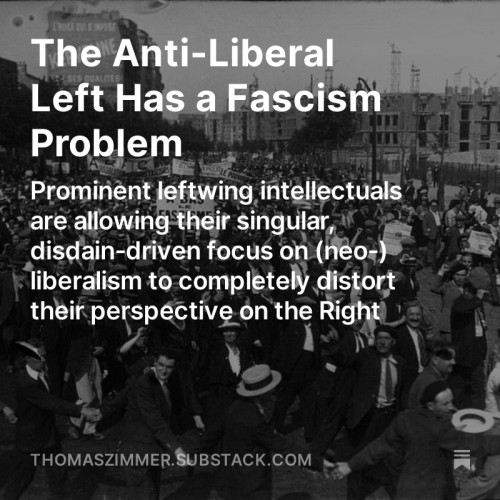 Screenshot of Part II of my “Democracy Americana” newsletter on the fascism debate: “The Anti-Liberal Left Has a Fascism Problem: Prominent leftwing intellectuals are allowing their singular, disdain-driven focus on (neo-) liberalism to completely distort their perspective on the Right”