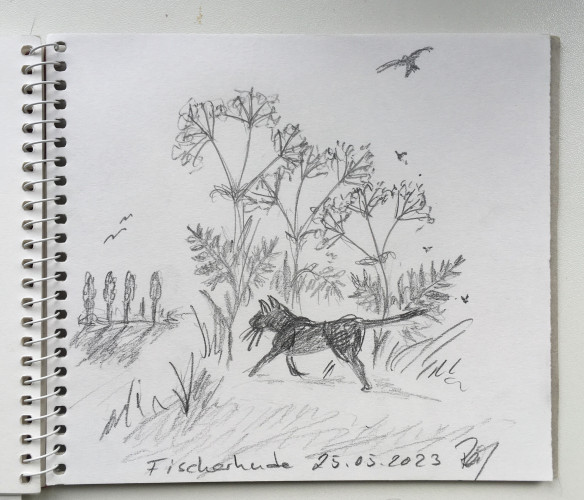 Sketch of a black cat (Lilli) walking beneath Wiesen-Kerbel on her birthday last year. 

In the back is a row of trees (Pappeln) and birds in the sky, bees in the Wiesen-Kerbel.