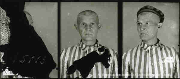 A mugshot registration photograph from Auschwitz. A man with a shaved head wearing a striped uniform photographed in three positions (profile and front with bare head and a photo with a slightly turned head with a hat on). The prisoner number is visible on a marking board on the left. The photo is damaged - black marks visible on the left.