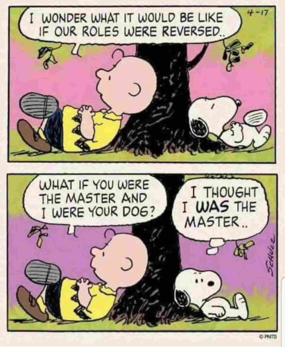 Snoopy and Charlie Brown under the tree.
Snoopy: I wonder what it would be like if our roles were reversed...
What if you were the master and I were your dog?
Snoopy: I thought I WAS the master.