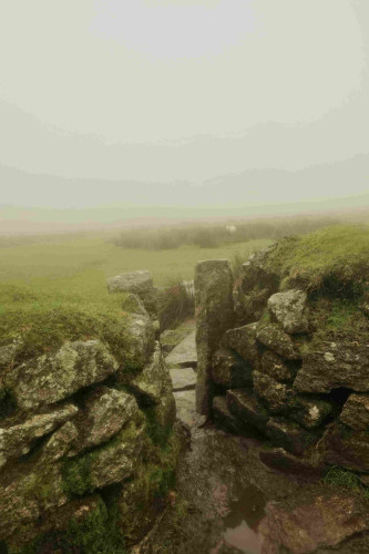 A wall and distant sheep in the fog.