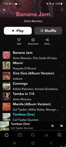 Screenshot of Airto inspired playlist called "Banana Jam" on Tidal.