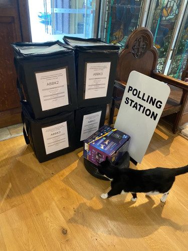 Black and white cat examining polling station paraphernalia 