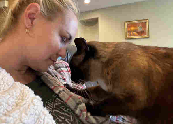 Siamese cat and a blonde girl with heads close together facing each other.