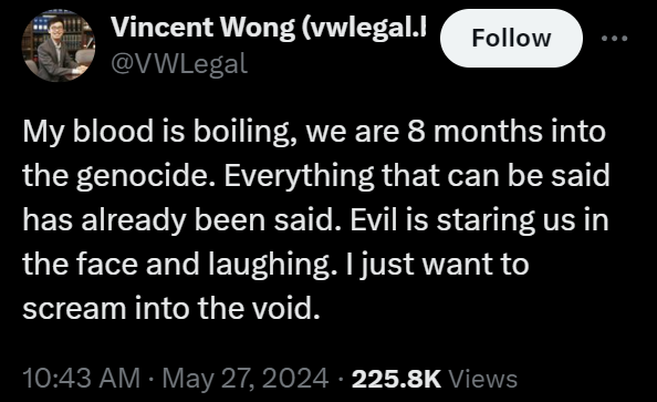 Vincent Wong (vwlegal.bsky.social)
@VWLegal
My blood is boiling, we are 8 months into the genocide. Everything that can be said has already been said. Evil is staring us in the face and laughing. I just want to scream into the void.
10:43 AM · May 27, 2024 · 225.8K Views