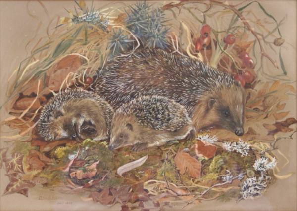 watercolor illustration of a mother hedgehog with two young in an autumn forest floor landscape