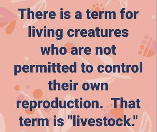 There is a term for living creatures who are not permitted to control their own reproduction. That term is ‘livestock’