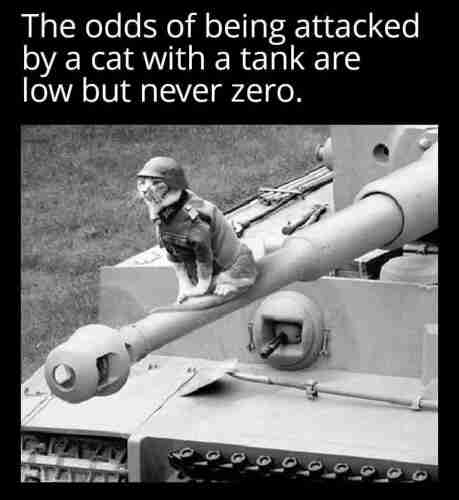 A black and white photograph of a cat dressed in a flack jacket and soldier’s helmet, sitting on the barrel of the main gun of a tank. 
Caption: The odds of being attacked by a cat with a tank are low but never zero.