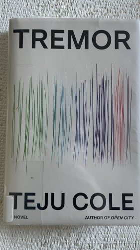 Book cover featuring multicolored vertical lines.