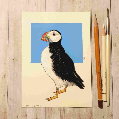 Original drawing - Puffin
A drawing of a puffin in profile with a blue background.
Materials: colour pencil, mixed media, artist quality acid free cream paper
Width: 5 inches
Height: 7 inches