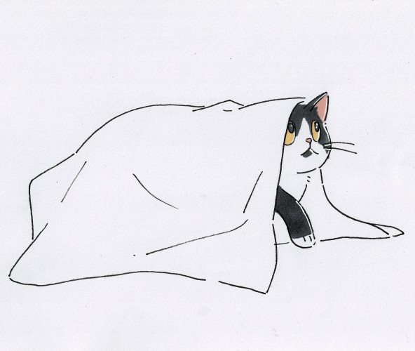 A hand-drawn cartoon of a tuxedo cat exploring underneath a blanket.