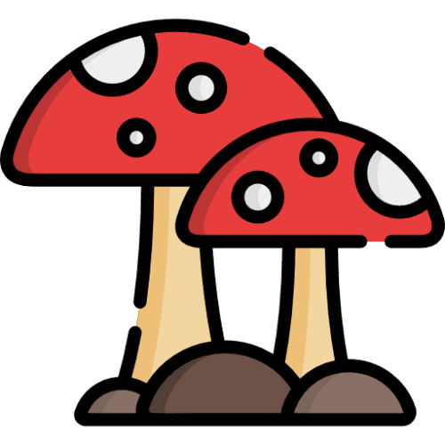 mushrooms@lemmy.world icon