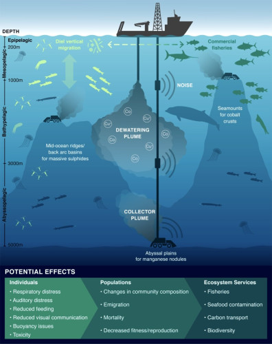 Graphic depicts the damaging impacts of deep-sea mining on marine life.