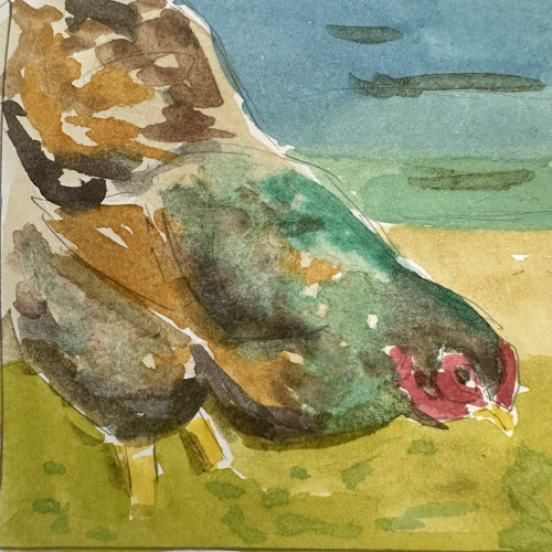 A green and orange hen 