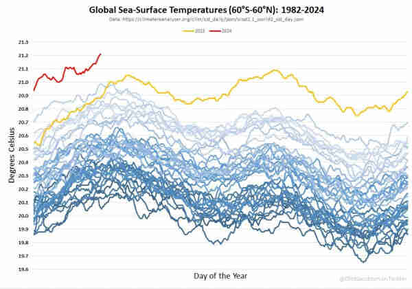 Line graph of average daily sea surface temperature, recorded from 1982 through the present. The first two months of 2024 are already far above even the record levels set in 2023.