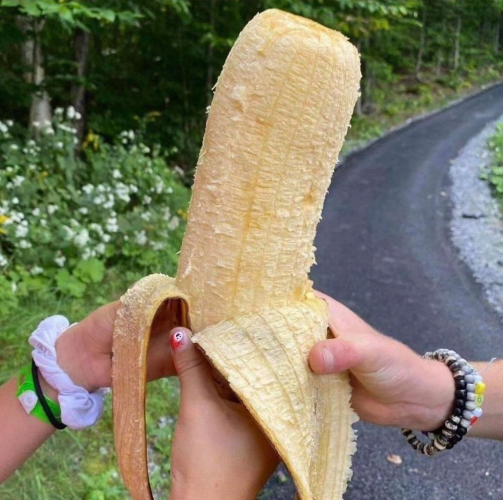a banana so big it has to be held with two hands