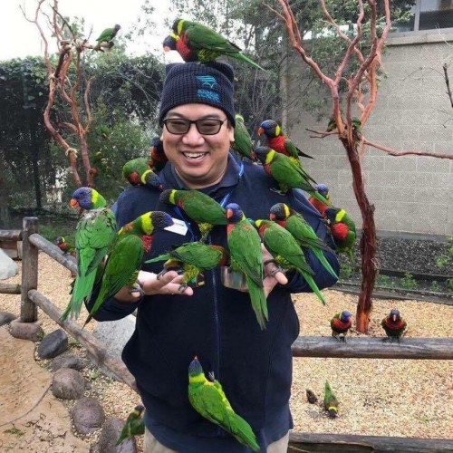 A person is surrounded by multiple colorful lorikeets, perched on their arms, shoulders, and head, smiling. Outdoor setting with trees and enclosure visible.