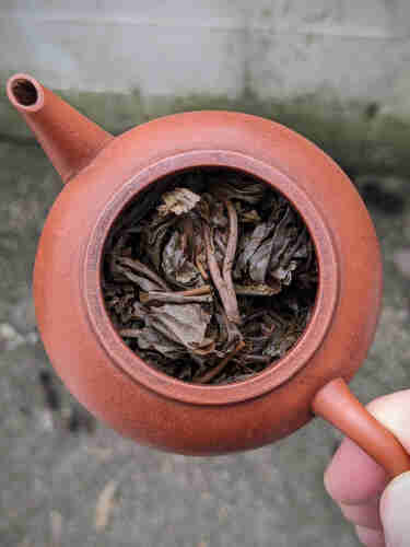 Raw puerh tea leaves in a yixing teapot.