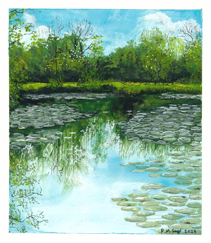 Artwork of a large pond on a bright sunny day. The water contains large areas of lilypads and has a clear reflection on the trees and sky in the background.