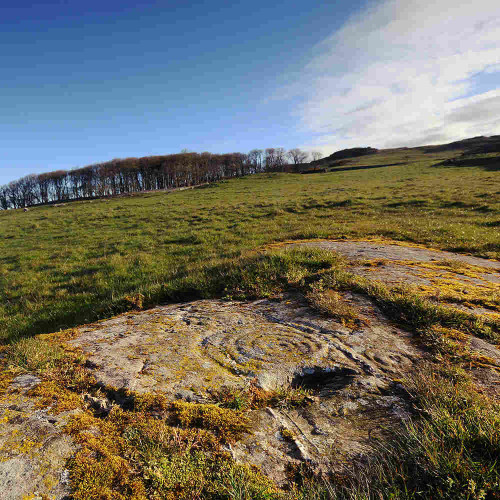 A flat panel of naturally occurring rock, almost flush with the surrounding turf, bearing cup and ring carvings.