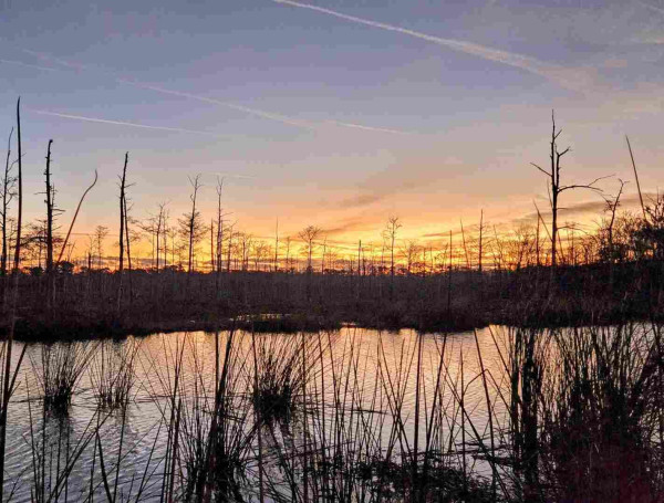 Across a marsh-like creek, reeds and barren trees are shadow like silhouettes beneath the rising colors of a sunrise at the horizon casting shades of yellow,  orange,  and red across the sky beneath a light blue sky with fading contrails.