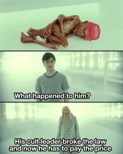 (The shriveled up husk of a MAGA supporter) (Harry Potter) What happened to him? (Dumbledore) His cult leader broke the law and now he has to pay the price