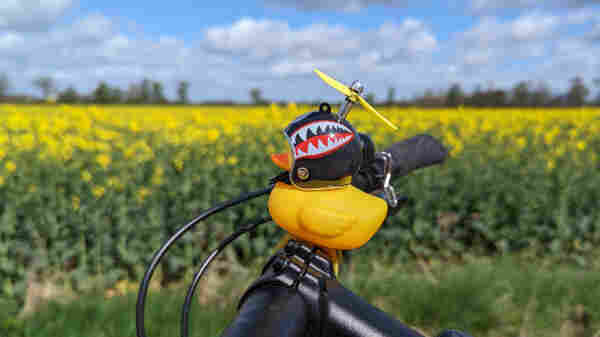Ein gelbe Plastik-Ente mit einem Fahrradhelm und Propeller sitzt auf einem Fahrradlenker, dahinter verschwommen ein gelb blühendes Rapsfeld und blauer Himmel mit einige Wölkchen. 