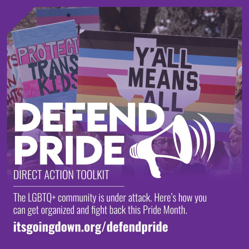Instagram style square: Defend Pride: Direct Action Toolkit" 