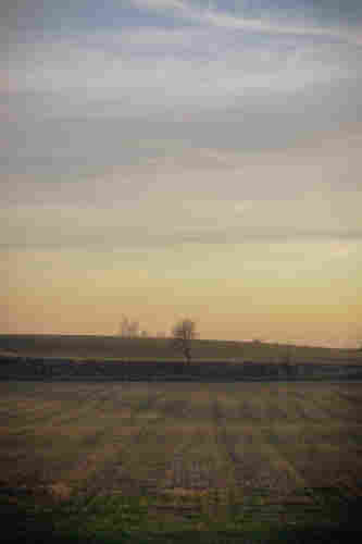 Fotografía vertical donde se ve un campo al atardecer con un árbol enmedio.

Vertical photography of a field at sunset with a tree in the middle.