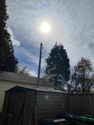 A garden shed and a utility pole, pointing toward the sun in the sky. You can't see it without zooming, but if you zoom in, you can see a person hanging from a parachute.
