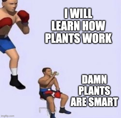The tired boxer meme with the captions: "I will learn how plants work", followed by "damn, plants are smart".