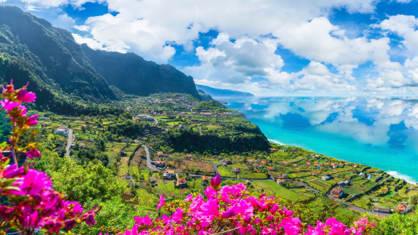 Aerial view of the northern coast of Madeira islands from the Solar de Boaventura - Miradouro. The photo shows pink flowers in the foreground, a green hill marked by small homes and crystal clear waters in the background.
